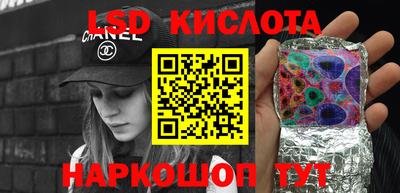 крисы Аргун
