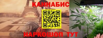 крисы Аргун