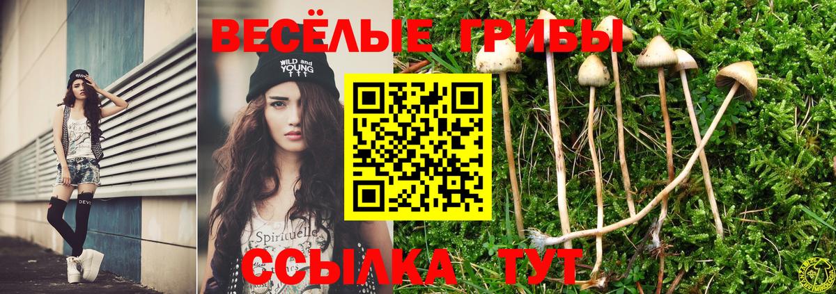 сколько стоит  Вход с VPN  Богданович  Галлюциногенные грибы мицелий 