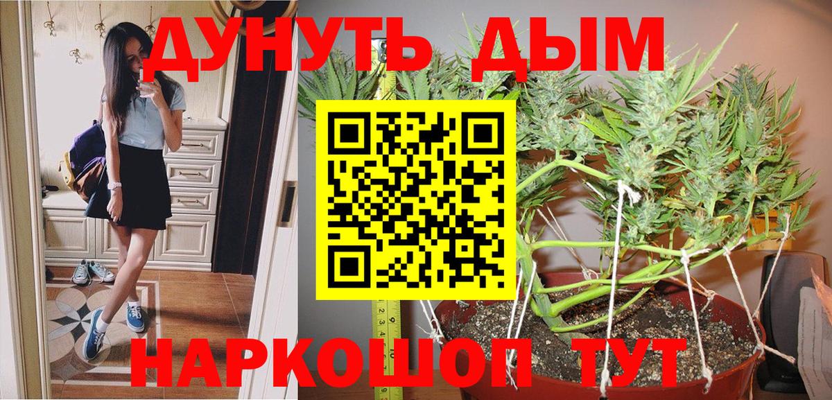 Каннабис OG Kush  Вход с VPN  МАРИХУАНА Amnesia  Бошки марихуана Ganja  Марихуана Ganja  Богданович 